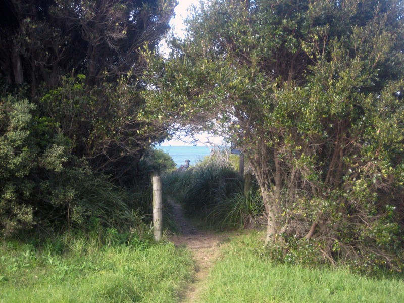 40 Eastbourne Ave, Culburra Beach NSW 2540