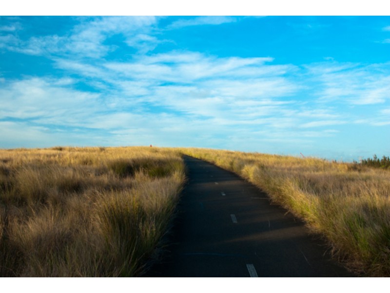 Under Offer – 1/15 Blaxland Ave, Newington NSW 2127