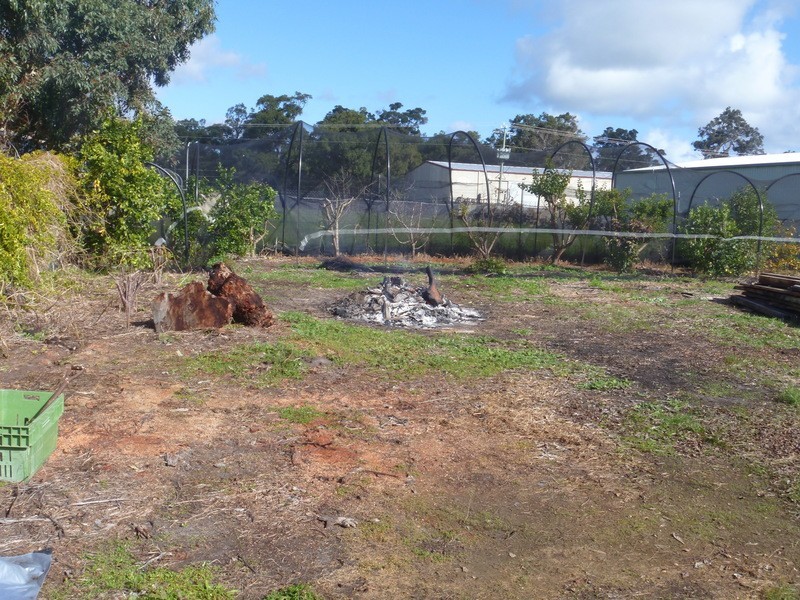 25 Jersey St, Cowaramup WA 6284