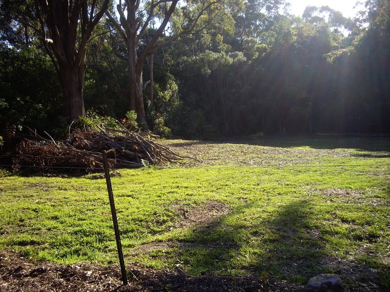 27 Ee-jung Road, Springbrook QLD 4213