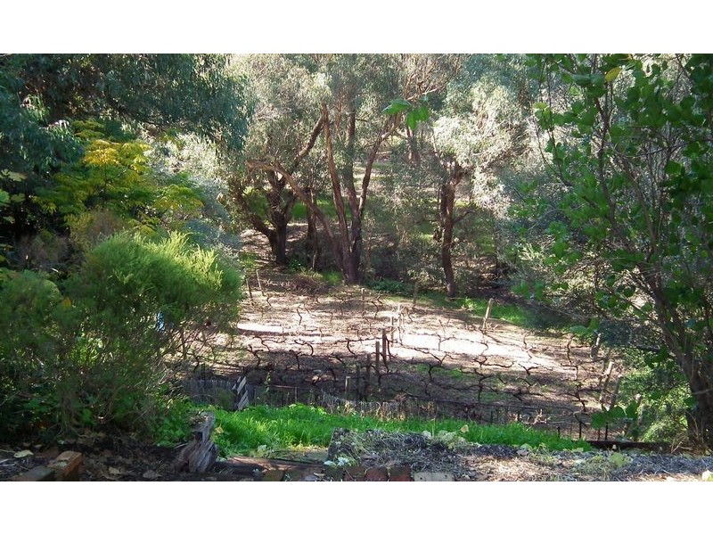 6 Almond Street, Guildford WA 6055