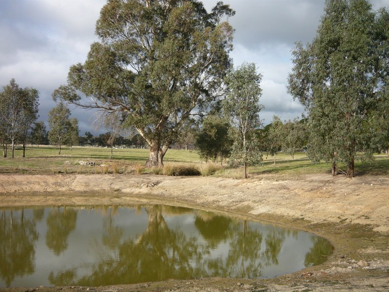 55 Hamilton Way, Lockwood South VIC 3551