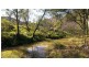 253  Upper Yango Creek Rd, Wollombi NSW 2325