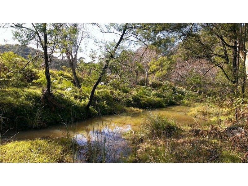 253  Upper Yango Creek Rd, Wollombi NSW 2325