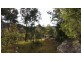 253  Upper Yango Creek Rd, Wollombi NSW 2325