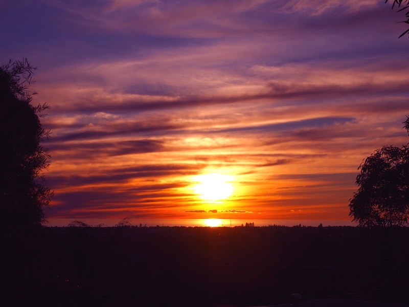 20 Francis St, Bedford Park SA 5042