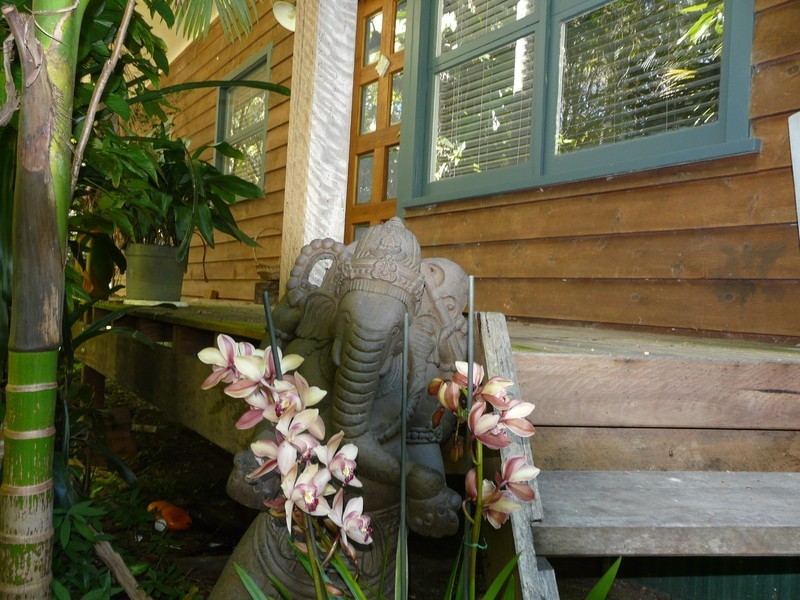 66 River Street, New Brighton NSW 2483