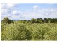 35 Kettle Lane, Birregurra VIC 3242