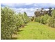35 Kettle Lane, Birregurra VIC 3242
