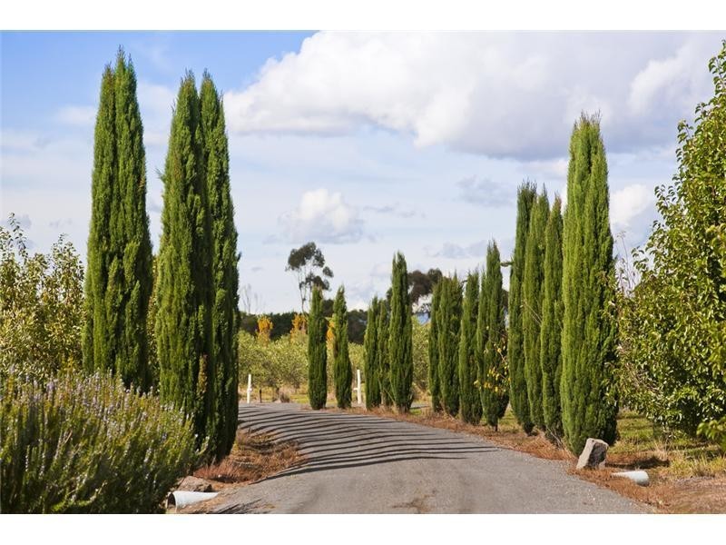 35 Kettle Lane, Birregurra VIC 3242