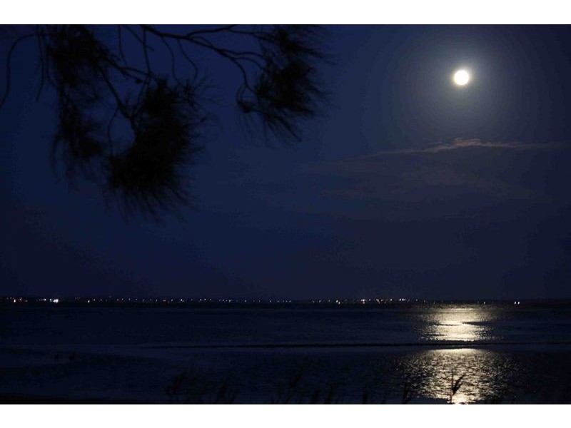 202 Geoffrey Rd, Chittaway Point NSW 2261