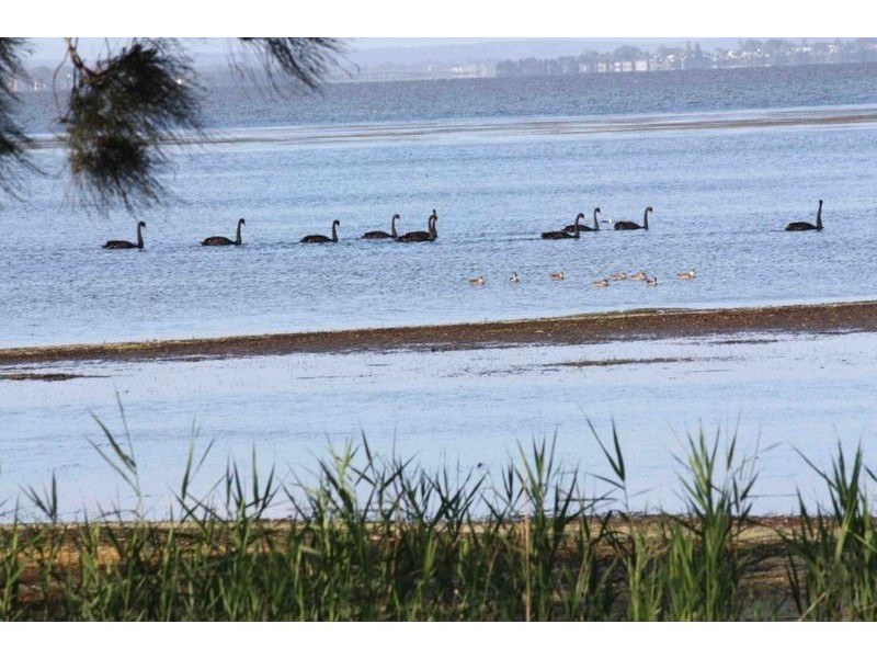 202 Geoffrey Rd, Chittaway Point NSW 2261