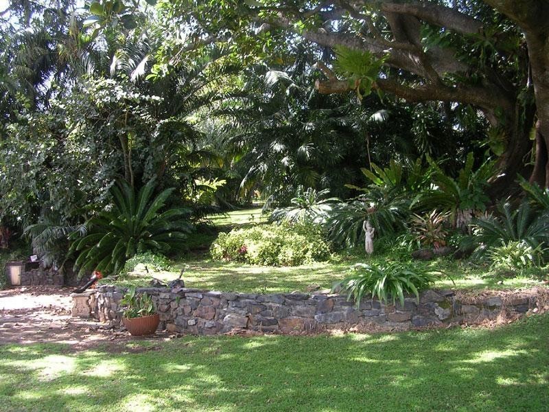 293 North Teven Road, Teven NSW 2478