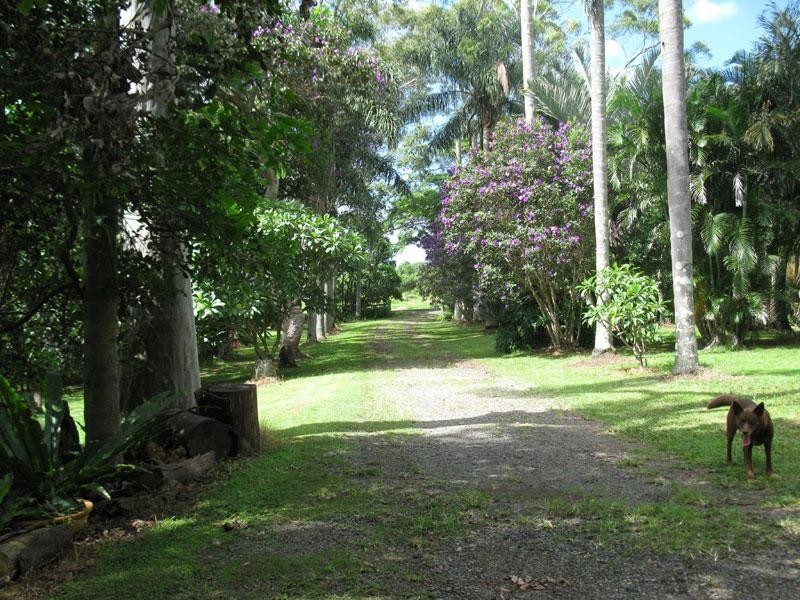 293 North Teven Road, Teven NSW 2478