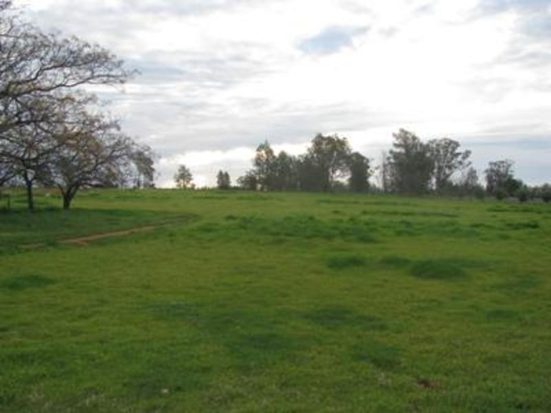 45 Rannock Road “Victoria Park”, Coolamon NSW 2701