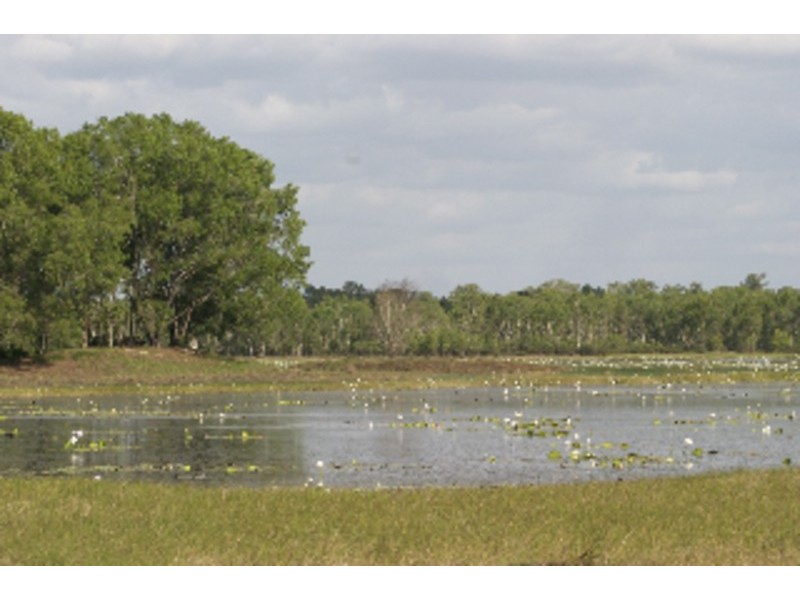 64 McMinns Drive, Mcminns Lagoon NT 0822