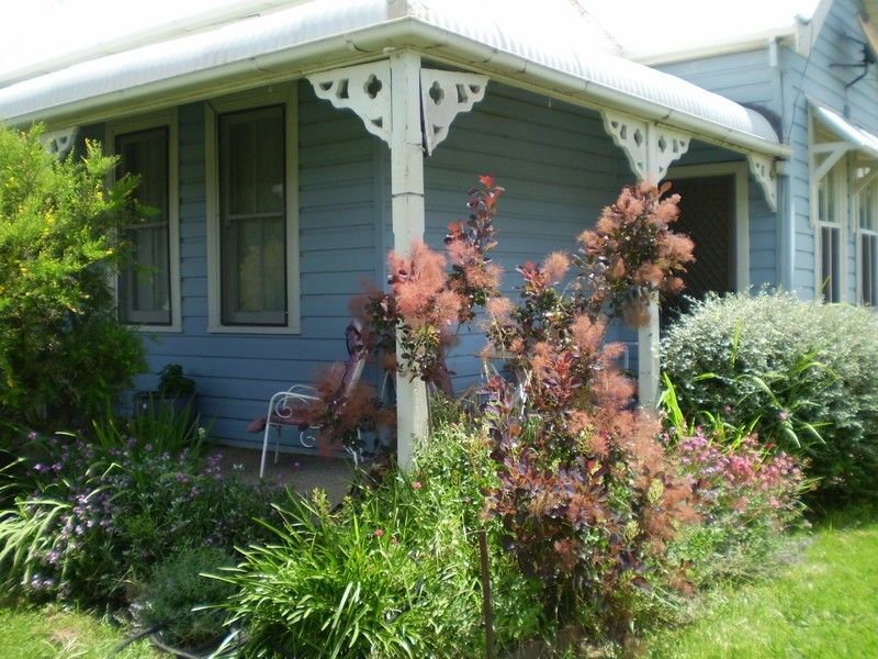 79  Carcoar st, Blayney NSW 2799