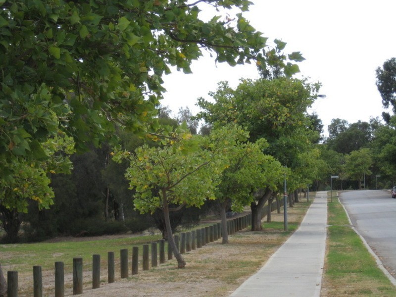 5 Janeville Place, South Guildford WA 6055