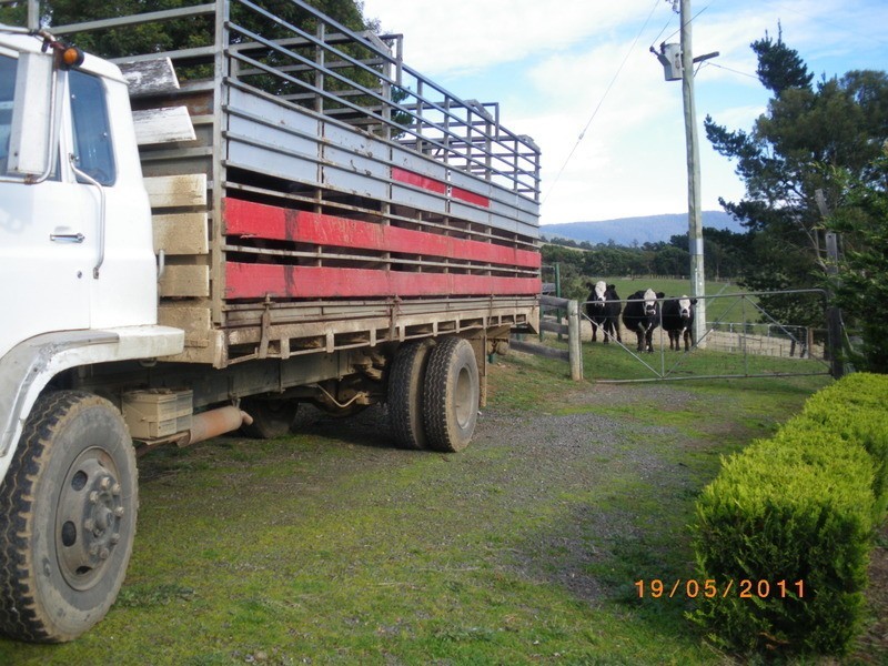 301 Sheoak Road, Judbury TAS 7109