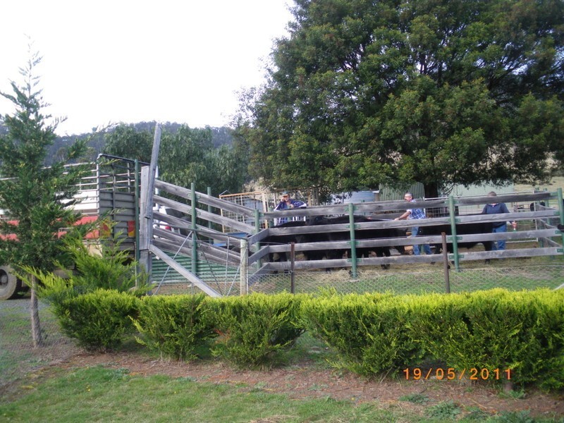 301 Sheoak Road, Judbury TAS 7109