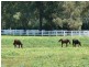 266 Morgan Rd, Meelon WA 6208