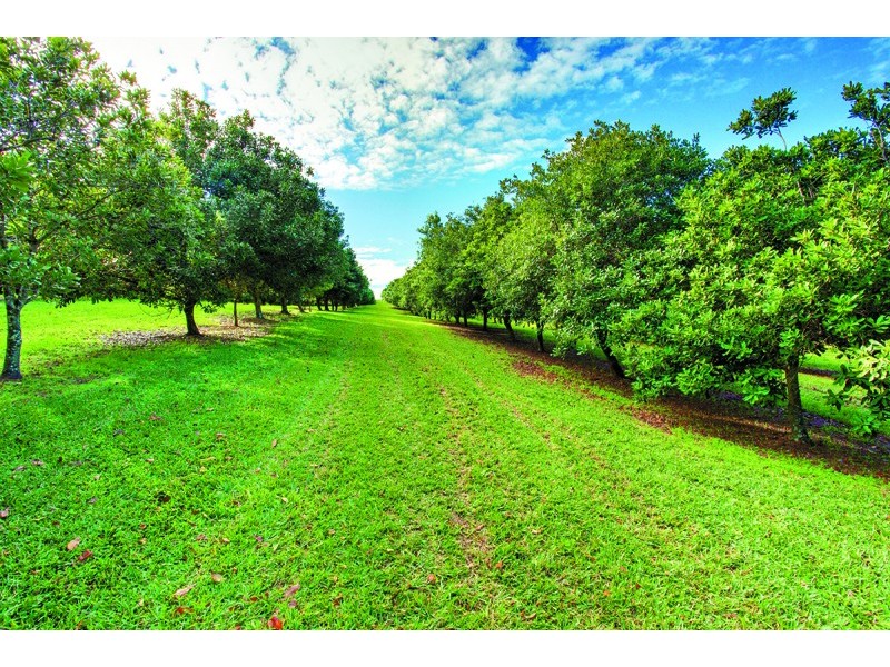 Canina QLD 4570