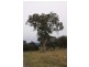 Lot 5 Hodges Road, Coongulla VIC 3860