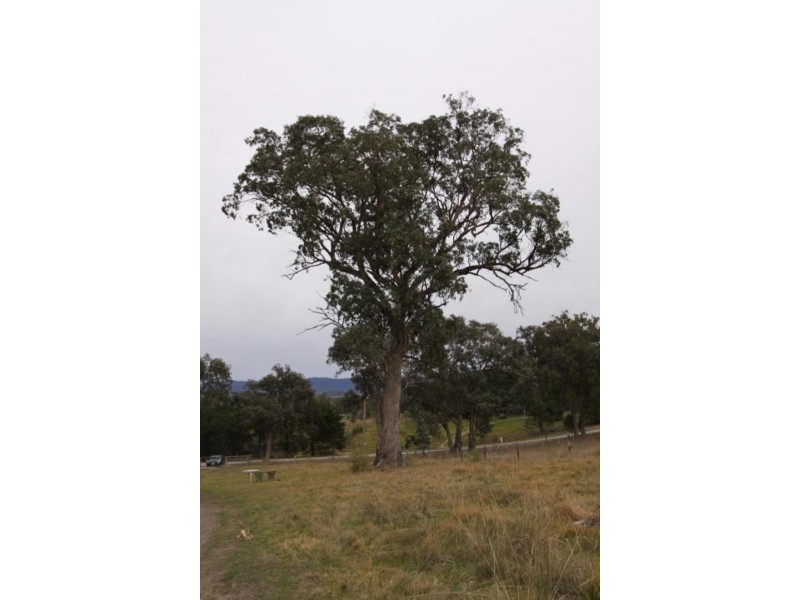 Lot 5 Hodges Road, Coongulla VIC 3860