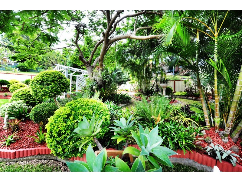 17  Hillview Crescent, Coffs Harbour NSW 2450