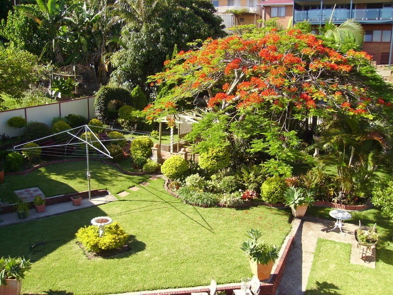 17  Hillview Crescent, Coffs Harbour NSW 2450