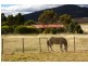 73 Greens Road, Orielton TAS 7172