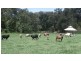 Mount Martin QLD 4754