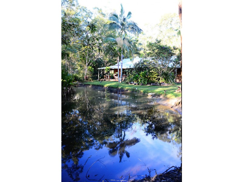 14 Graham Drive, Landsborough QLD 4550