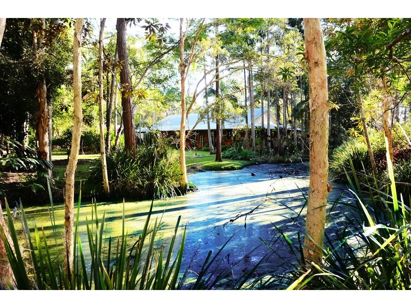 14 Graham Drive, Landsborough QLD 4550