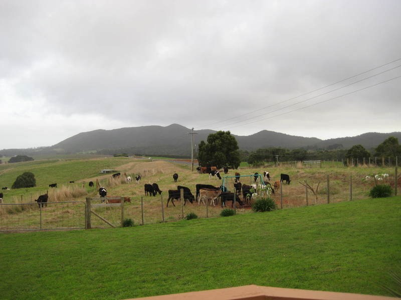 18701 Bass Highway, Montumana TAS 7321