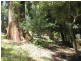 18701 Bass Highway, Montumana TAS 7321
