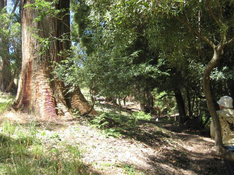 18701 Bass Highway, Montumana TAS 7321