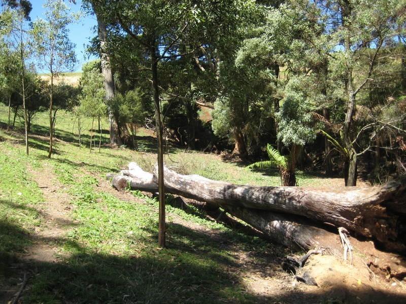 18701 Bass Highway, Montumana TAS 7321