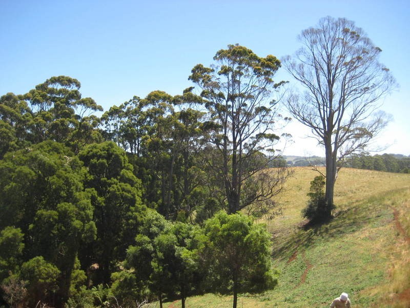 18701 Bass Highway, Montumana TAS 7321