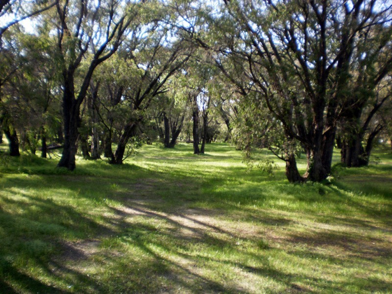 15 Craig Street, West Busselton WA 6280