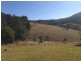 2985 Bulga Road, Bobin NSW 2429