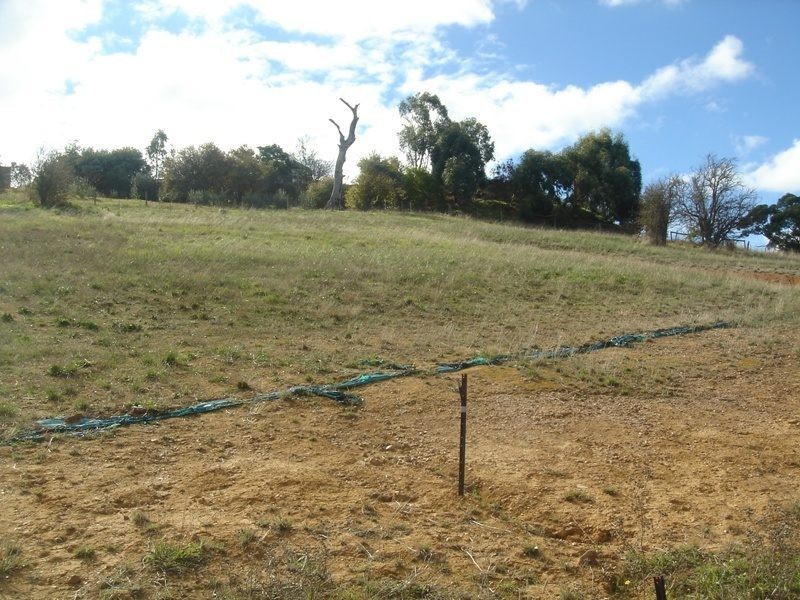 Lot 112 Reuben Pope Court, Mount Barker SA 5251