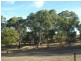 Lot 8 (357) Hallett Road, Littlehampton SA 5250