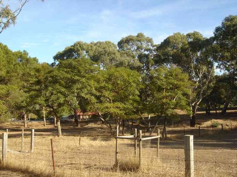 Lot 8 (357) Hallett Road, Littlehampton SA 5250