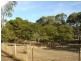 Lot 8 (357) Hallett Road, Littlehampton SA 5250