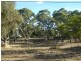 Lot 9 (358) Hallett Road, Littlehampton SA 5250