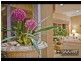 53 The Boulevard, Southport QLD 4215