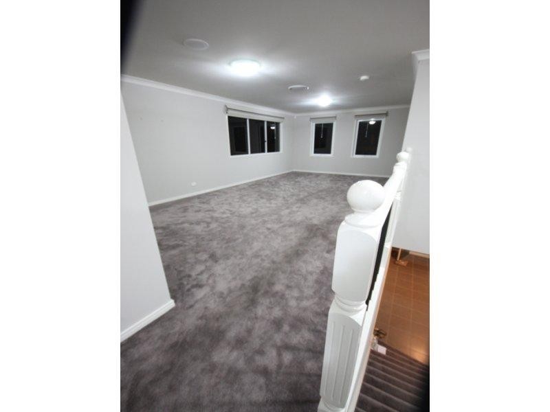 17 Buchanan Circuit, Oxenford QLD 4210