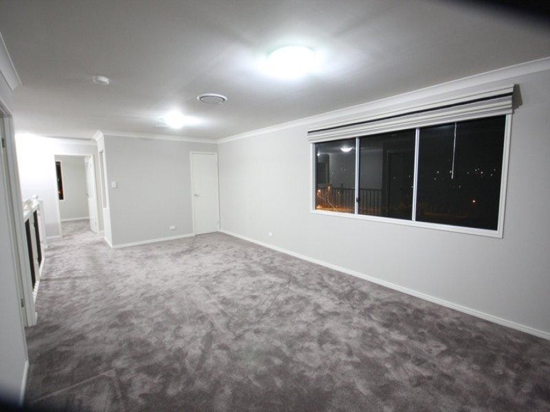 17 Buchanan Circuit, Oxenford QLD 4210