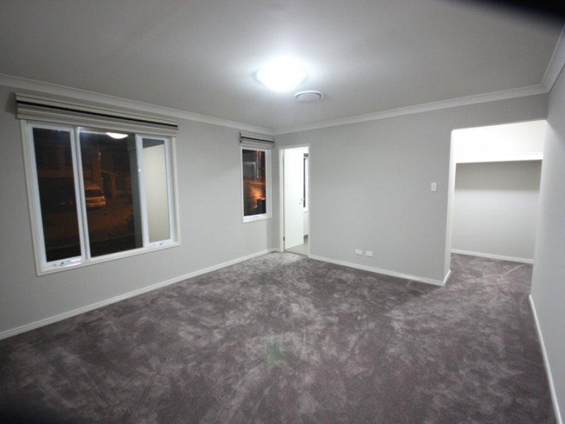 17 Buchanan Circuit, Oxenford QLD 4210